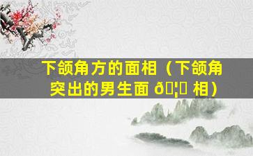 下颌角方的面相（下颌角突出的男生面 🦅 相）